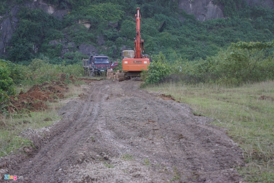 Tieu huy dan lon o Thanh Hoa chet trong nuoc lu hinh anh 3