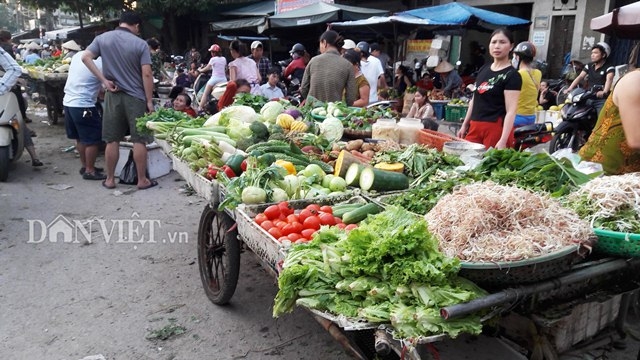mua lon keo dai, vua rau hu thoi, mua rau xanh kho hon mua thit hinh anh 3
