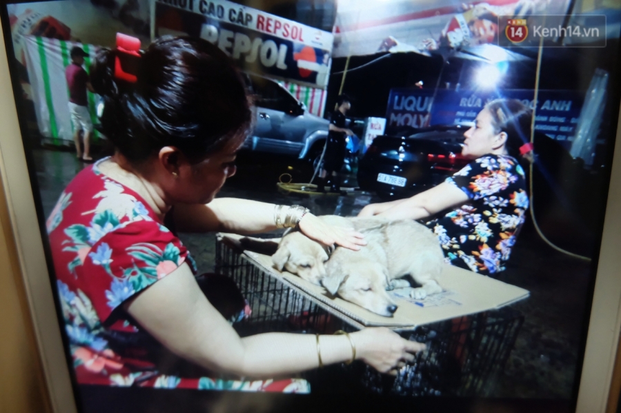 Clip 2 chú chó bị kéo lê đến chảy máu trên đường phố và đoạn kết đẹp từ sự bao đồng của người Sài Gòn - Ảnh 4.