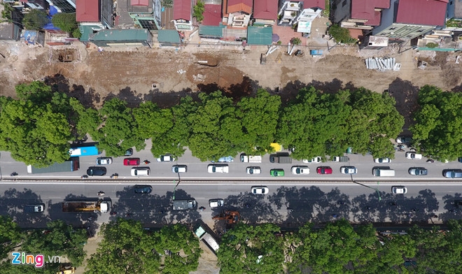 Ha Noi di chuyen, chat ha gan 1.300 cay xanh vao ngay mai hinh anh 1
