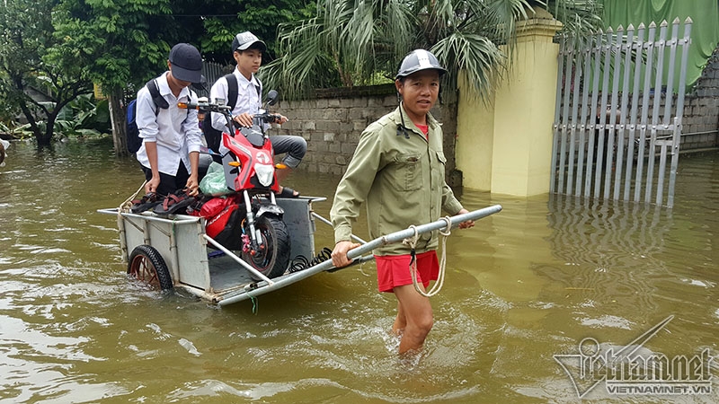 lũ lụt, mưa lụt, ngập lụt, lũ lụt ở Chương Mỹ, vỡ đê, mưa lũ, ngập lụt ở Hà Nội