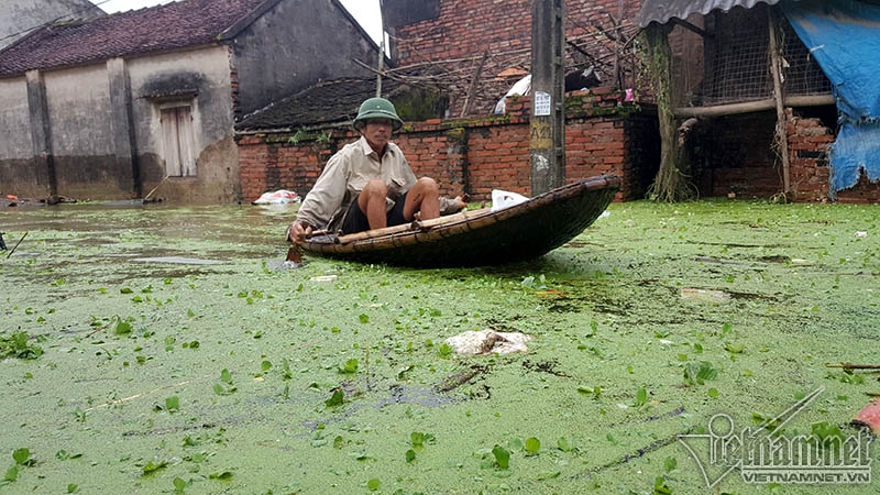 lũ lụt, mưa lụt, ngập lụt, lũ lụt ở Chương Mỹ, vỡ đê, mưa lũ, ngập lụt ở Hà Nội