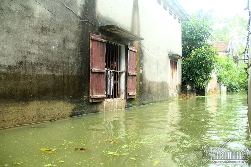 lũ lụt, mưa lụt, ngập lụt, lũ lụt ở Chương Mỹ, vỡ đê, mưa lũ, ngập lụt ở Hà Nội