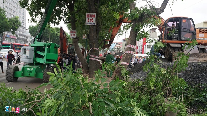 Ha Noi di chuyen, chat ha cay xanh tren duong vanh dai 3 hinh anh 1