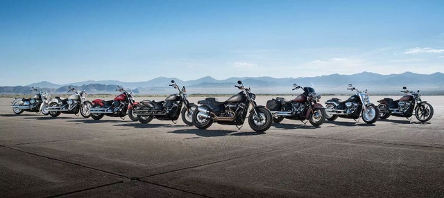 Đập thùng hàng hot Harley-Davidson Softail 2018 tại Việt Nam - Ảnh 2.