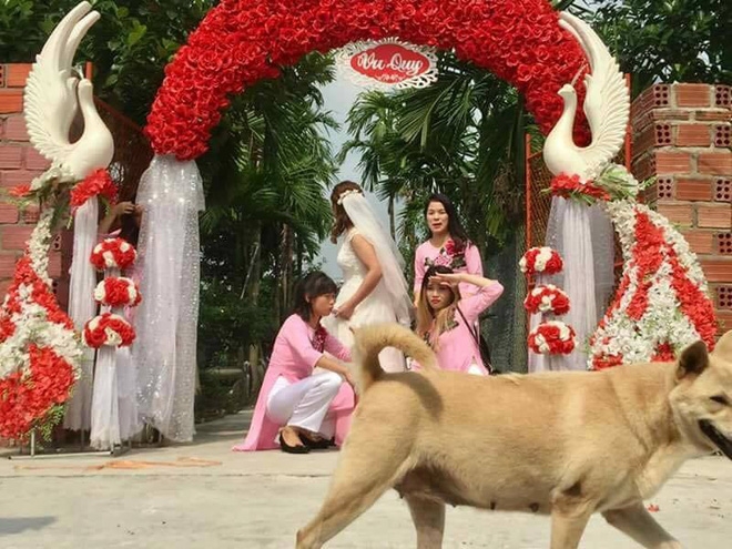 Nhờ dân mạng sửa ảnh cho đỡ sứt mẻ tình chị em, 4 cô gái lặng câm với series chế cười đau ruột - Ảnh 1.