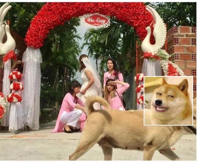 Nhờ dân mạng sửa ảnh cho đỡ sứt mẻ tình chị em, 4 cô gái lặng câm với series chế cười đau ruột - Ảnh 4.
