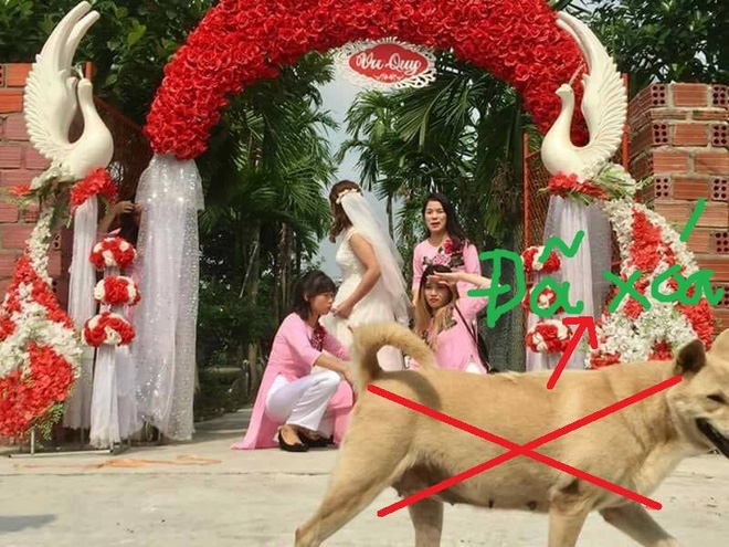 Nhờ dân mạng sửa ảnh cho đỡ sứt mẻ tình chị em, 4 cô gái lặng câm với series chế cười đau ruột - Ảnh 14.