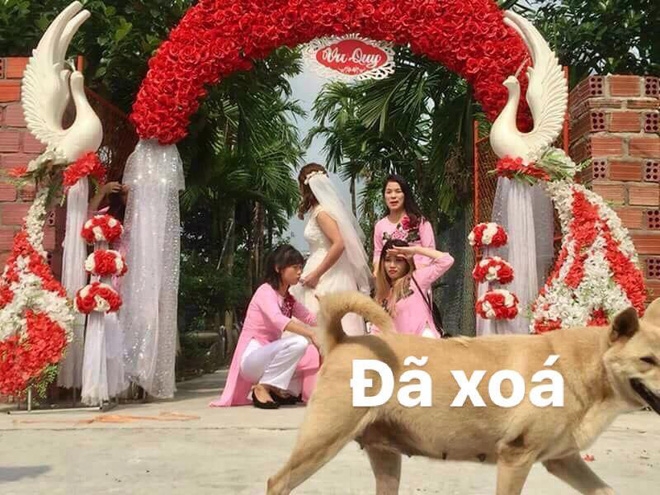 Nhờ dân mạng sửa ảnh cho đỡ sứt mẻ tình chị em, 4 cô gái lặng câm với series chế cười đau ruột - Ảnh 15.