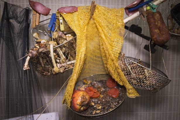 Rùng mình căn phòng của người đàn ông thích sưu tập rác thải: Đồ không dám vứt, rác chất thành đống - Ảnh 14.