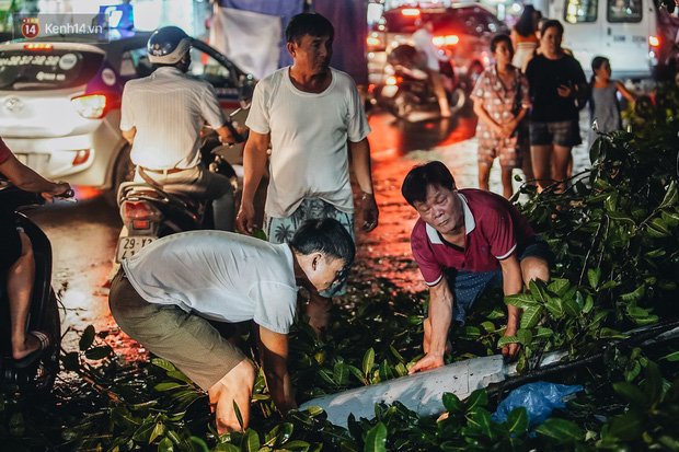 Hà Nội: Cây cổ thụ đè sập 2 cửa hàng thời trang trên phố Phạm Ngọc Thạch, người dân la hét thất thanh - 6