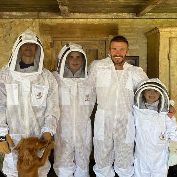 Cận cảnh không gian sống của gia đình David Beckham: Cải tạo nhà kho thành khu nghỉ dưỡng, giá trị lên đến 357 tỷ đồng - 16 Cận cảnh không gian sống của gia đình David Beckham: Cải tạo nhà kho thành khu nghỉ dưỡng, giá trị lên đến 357 tỷ đồng - 16