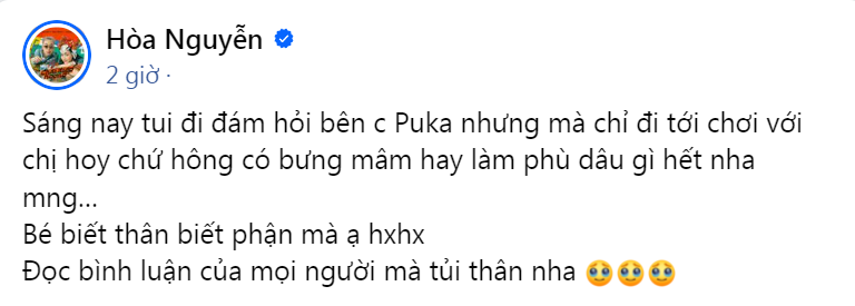 Hòa Minzy lên tiếng sau khi bị chỉ trích 'mẹ đơn thân mà đi bê tráp' trong đám cưới Puka - 2