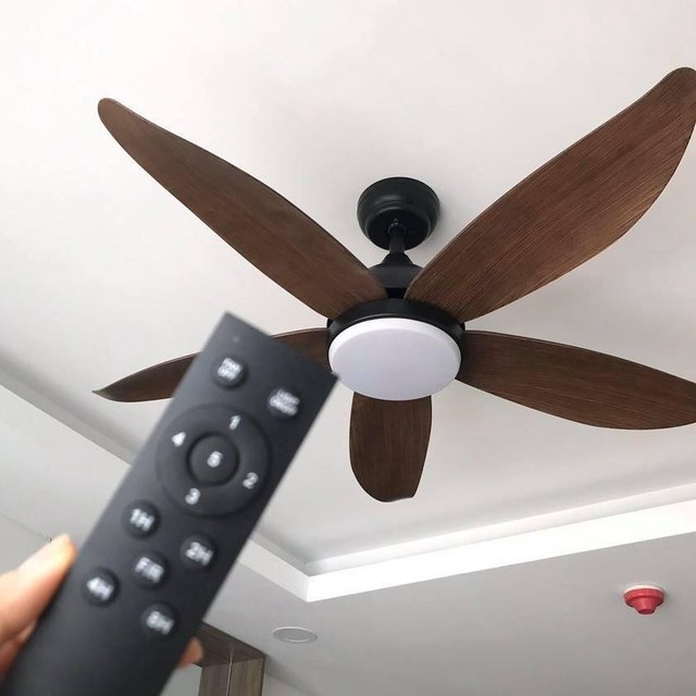 Khi ngủ nên đặt quạt gần hay xa giường? Có nên đặt ở đầu giường? Thì ra rất nhiều nhà đang làm sai - 3 Khi ngủ nên đặt quạt gần hay xa giường? Có nên đặt ở đầu giường? Thì ra rất nhiều nhà đang làm sai - 3