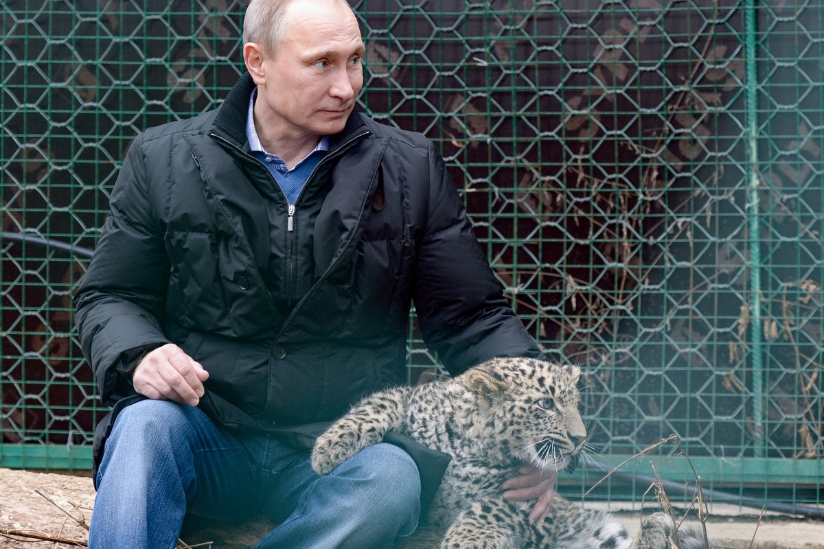 Điểm loạt món quà động vật đặc biệt của Tổng thống Nga Putin - 14
