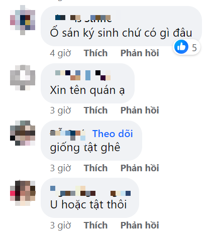 Dân tình hoang mang tranh cãi 'cục hình tròn nhiều sợi' trên miếng thịt của bát phở bò: Gân hay ổ sán? - 4
