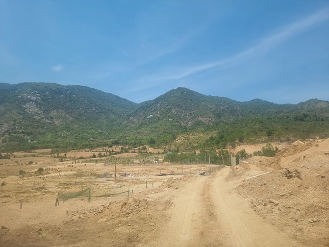 Chủ tịch UBND thành phố Cam Ranh thua kiện người làm thuê múc đất Chủ tịch UBND thành phố Cam Ranh thua kiện người làm thuê múc đất