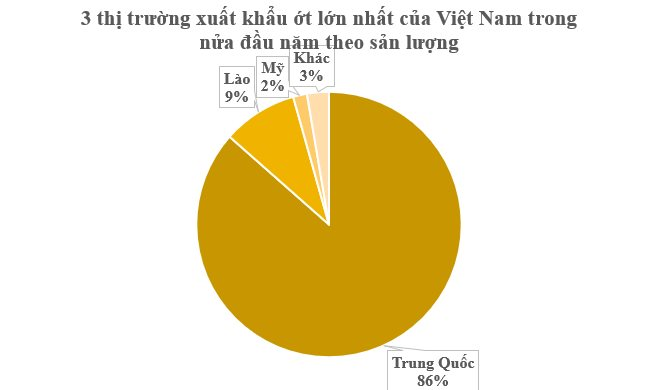 Trong năm 2023, xuất khẩu ớt đạt kim ngạch 20 triệu USD, tương ứng với 10.173 tấn, tăng mạnh 107% so với năm 2022.