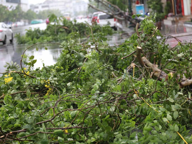 Những hình ảnh cập nhật ở Quảng Ninh ngay lúc này: Bão số 2 gây mưa rất to, cây gãy đổ xuống đường - 23