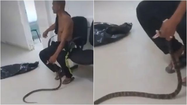 Bị rắn độc cắn, người đàn ông túm cổ 'thủ phạm' lôi tới bệnh viện: Cảnh sau đó ai thấy cũng hãi hùng Bị rắn độc cắn, người đàn ông túm cổ 'thủ phạm' lôi tới bệnh viện: Cảnh sau đó ai thấy cũng hãi hùng