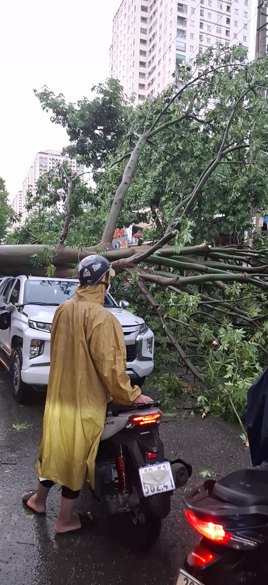 Hàng loạt ô tô ở Hà Nội bị cây đè bẹp trong cơn mưa 'nháp' trước khi siêu bão YAGI đổ bộ - 9 Hàng loạt ô tô ở Hà Nội bị cây đè bẹp trong cơn mưa 'nháp' trước khi siêu bão YAGI đổ bộ - 9