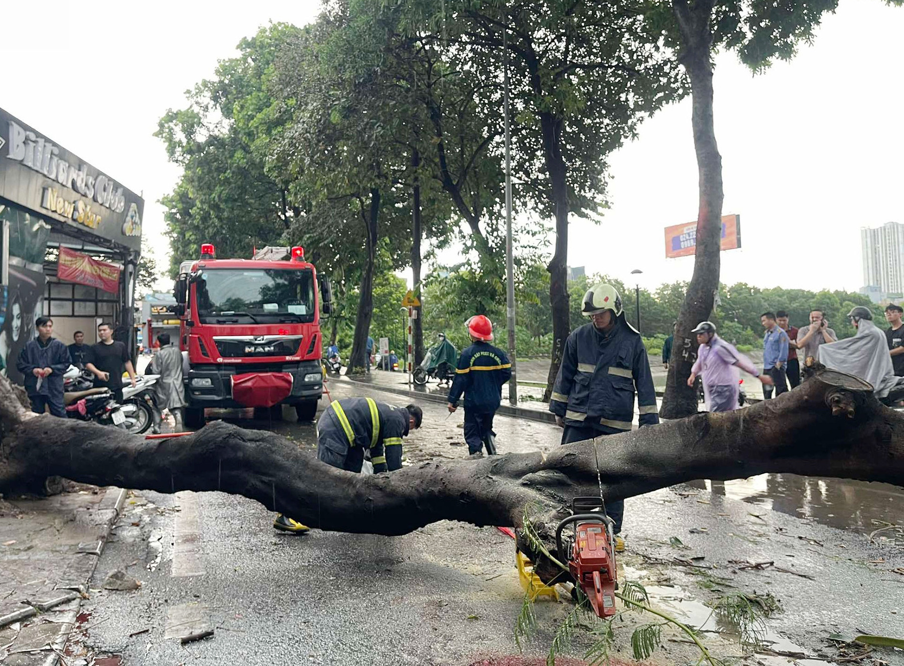 Hiện trường vụ cây đổ trên đường Nguyễn Hữu Thọ (quận Hoàng Mai, Hà Nội) khiến 2 người thương vong. Ảnh: Tiến Dũng.