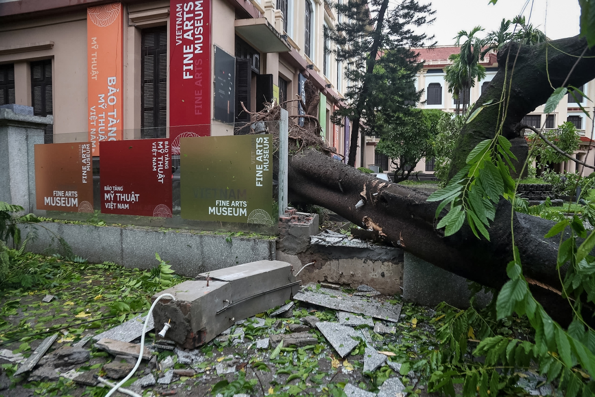 Không thể nhận ra phố phường Hà Nội sau bão Yagi: Giao thông nhiều tuyến tê liệt vì cây gãy đổ, lực lượng cứu hộ vất vả khắc phục hậu quả - 7