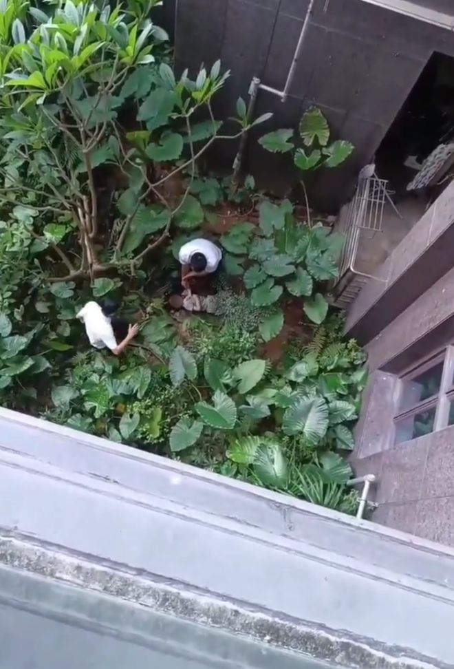 Khoảnh khắc thót tim: Bé gái rơi xuống từ cửa sổ tầng 8, nhân viên bảo vệ lao tới giải cứu bằng tay không Khoảnh khắc thót tim: Bé gái rơi xuống từ cửa sổ tầng 8, nhân viên bảo vệ lao tới giải cứu bằng tay không