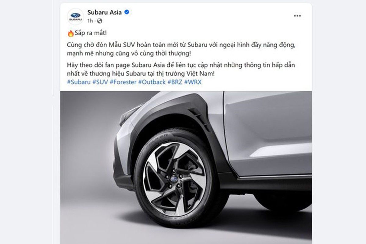 Cận cảnh Subaru Crosstrek 2025 vừa về Việt Nam, khoảng 1,1 tỷ đồng? - 1