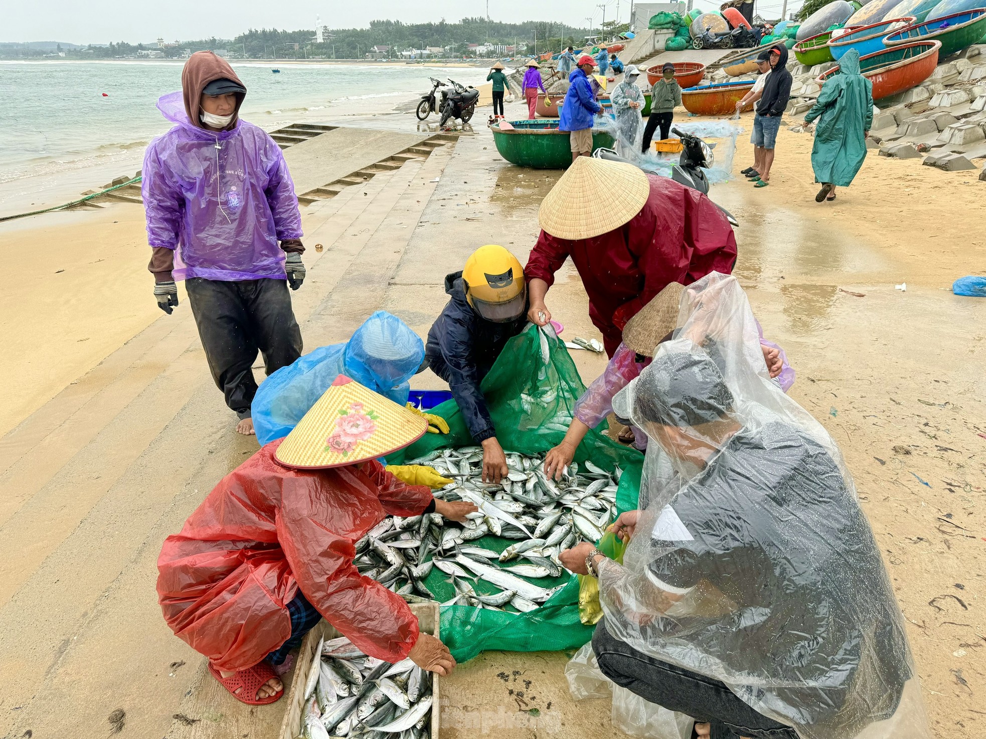 Ngư dân Quảng Ngãi ‘đánh cược’ tính mạng, dong thúng ra khơi bất chấp lệnh cấm biển - 12