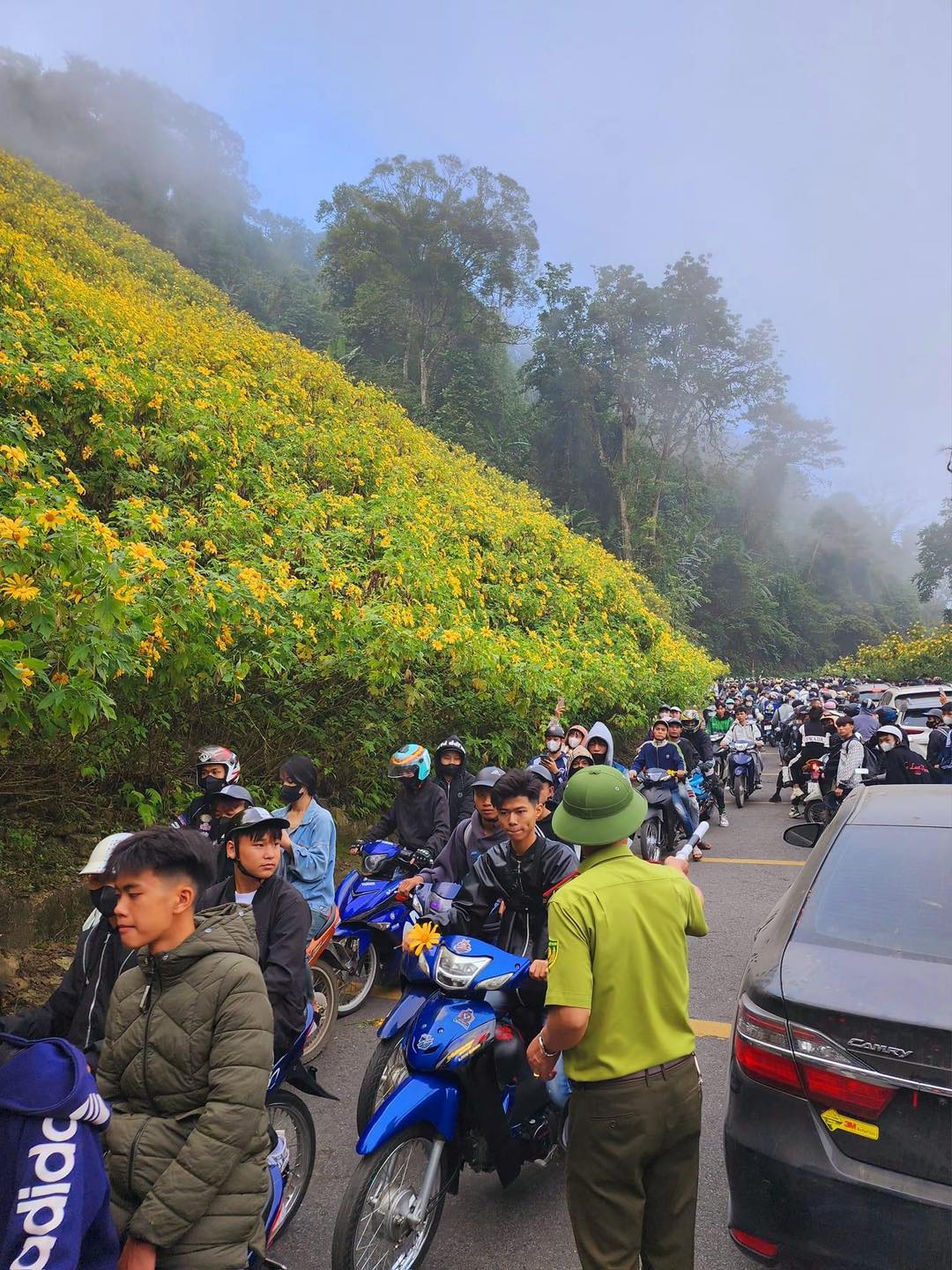 Cảnh tượng trên đường đi săn mây, ngắm hoa dã quỳ khiến nhiều người 'khóc thét' - 4 Cảnh tượng trên đường đi săn mây, ngắm hoa dã quỳ khiến nhiều người 'khóc thét' - 4
