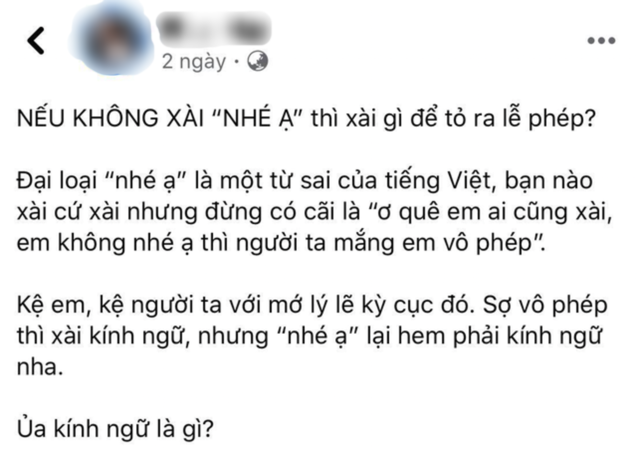 Giữa đêm, cả cõi mạng thi nhau 'nhé ạ' sau phát ngôn gây tranh cãi của siêu mẫu Xuân Lan: Chuyện gì đây? - 3
