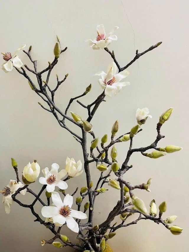 Loại hoa có giá tiền triệu, mang hương thơm đặc biệt được chị em thi nhau ‘săn lùng’ chơi Tết