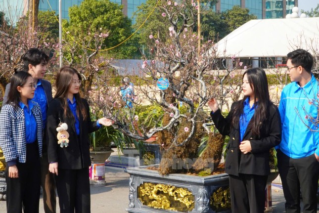 Dân chơi mạnh tay chi tiền mua đào cổ rêu phong đón Tết - 10
