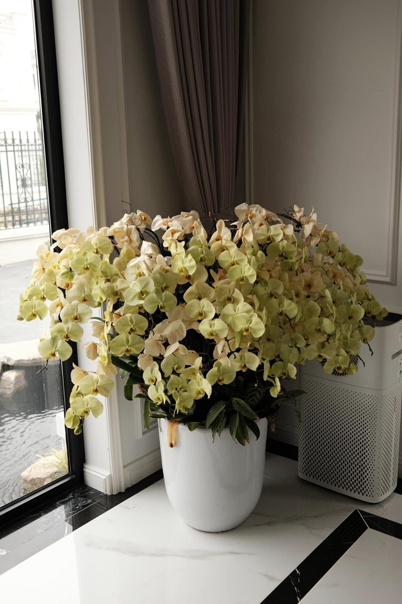Biệt thự trắng 3 tầng 'đẹp như mơ' ngập hoa đón Tết của á hậu Huyền My - 3 Biệt thự trắng 3 tầng 'đẹp như mơ' ngập hoa đón Tết của á hậu Huyền My - 3