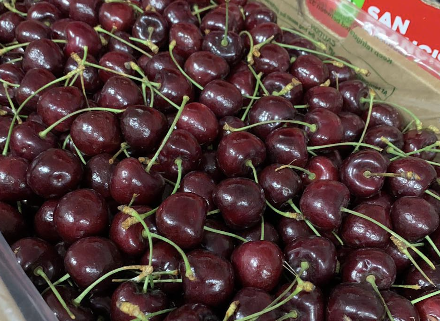Sự thật cherry Chile giảm giá ‘sập sàn’, còn 100 nghìn/kg bán la liệt ở chợ Việt - 1 Sự thật cherry Chile giảm giá ‘sập sàn’, còn 100 nghìn/kg bán la liệt ở chợ Việt - 1