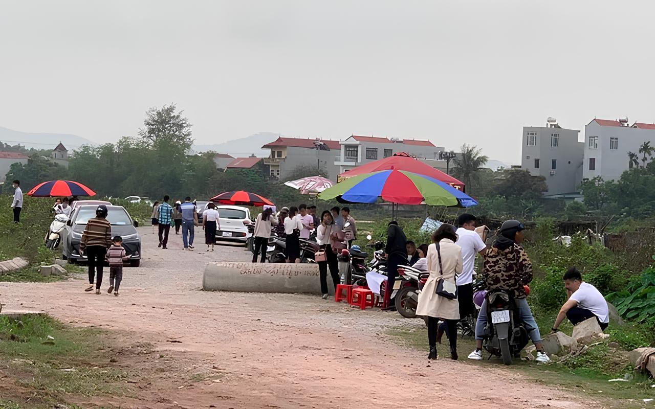 Đất nền lên 'cơn sốt' vì sóng sáp nhập tỉnh thành: Các địa phương cảnh báo nóng - 1