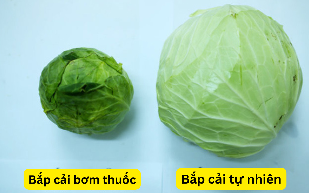 'Vua ngậm thuốc kích thích' gọi tên loại rau này, đi chợ mà ngố thì bạn toi đời! - 3