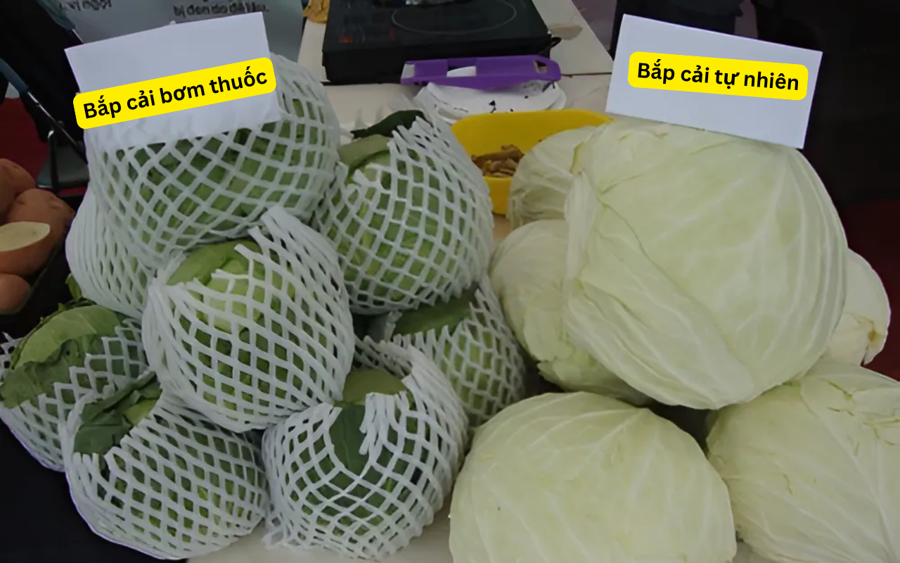 'Vua ngậm thuốc kích thích' gọi tên loại rau này, đi chợ mà ngố thì bạn toi đời! - 2